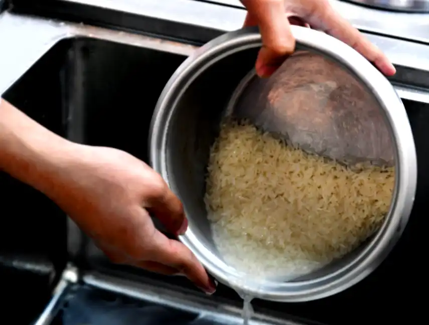 Preparation of rice for your dog