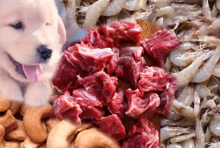 Prepare raw food for dogs