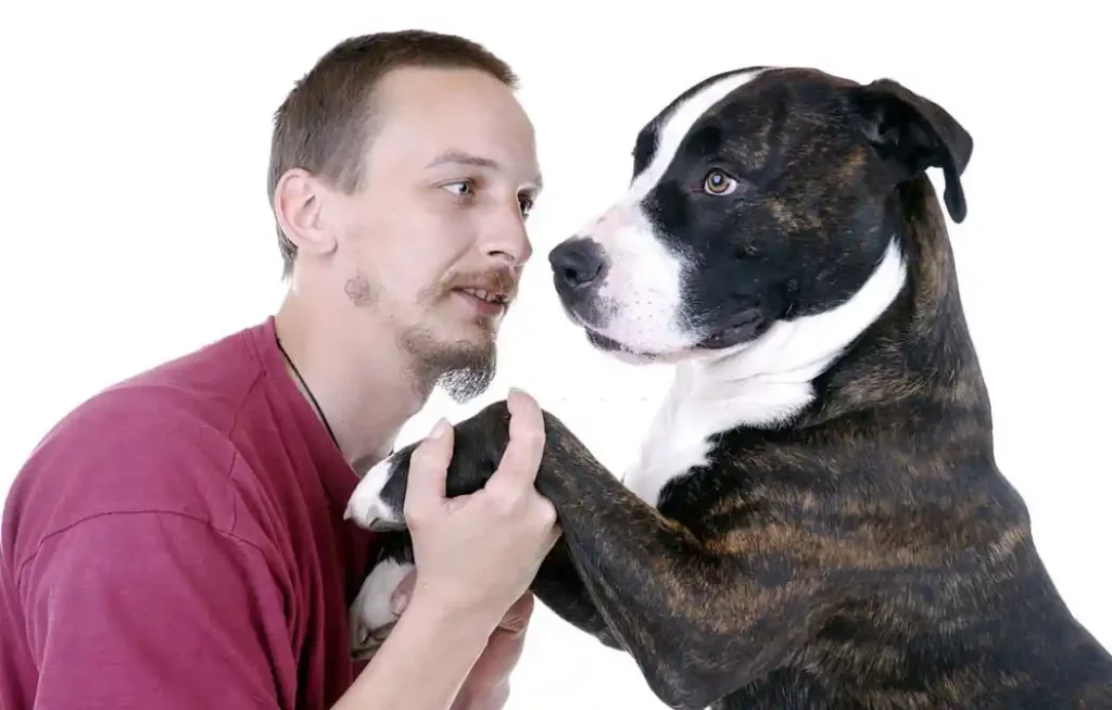 Other ways to communicate with your dog