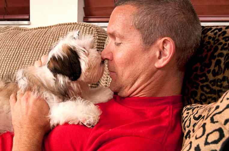 What should you do if your dog rubs his face on strangers