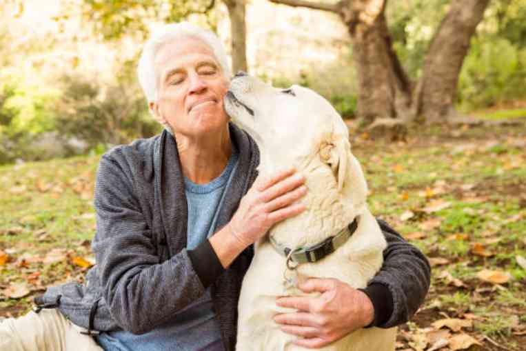 Why Does My Dog Rub His Face on Mine? 5 causes & solutions